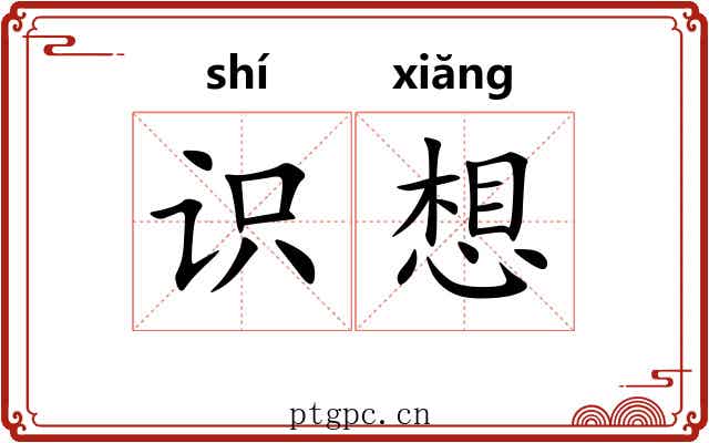 识想