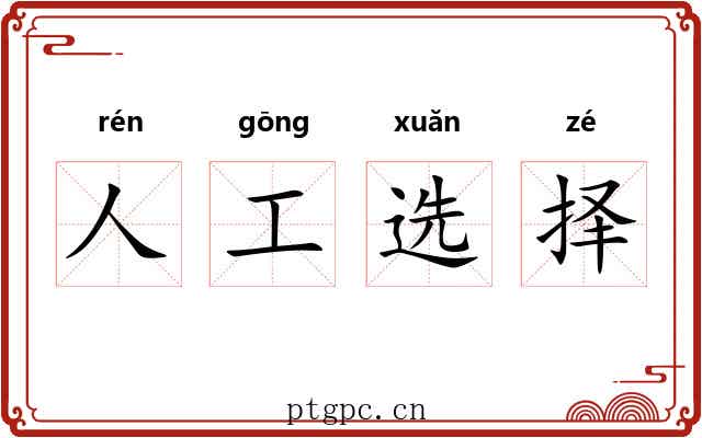 人工选择