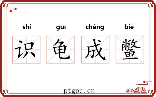 识龟成鳖