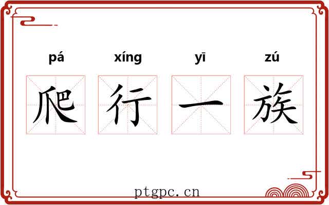 爬行一族 爬行一族