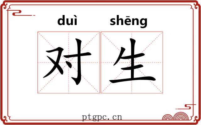 对生