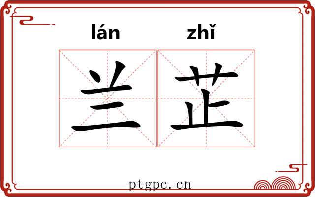 兰芷