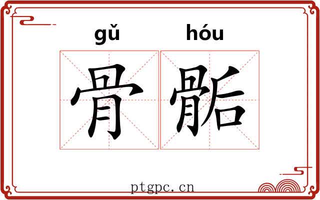 骨骺