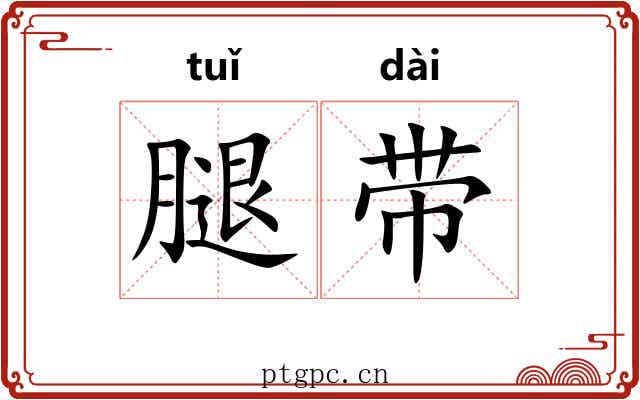 腿带