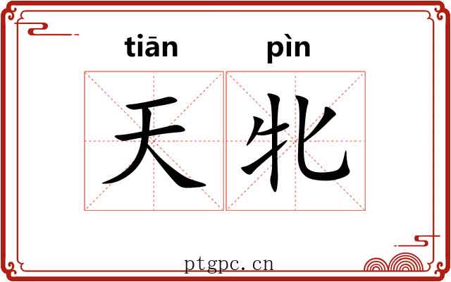 天牝 天牝