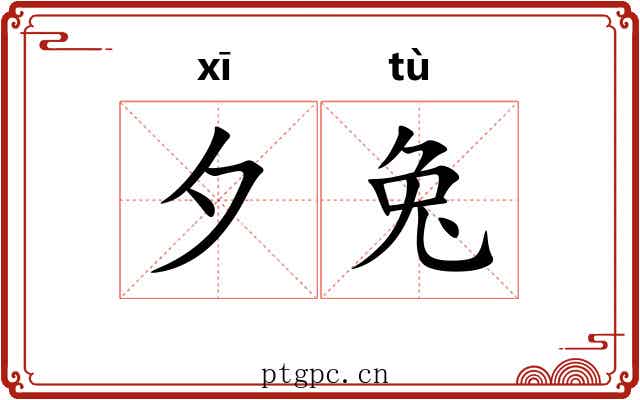 夕兔