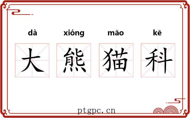 大熊猫科