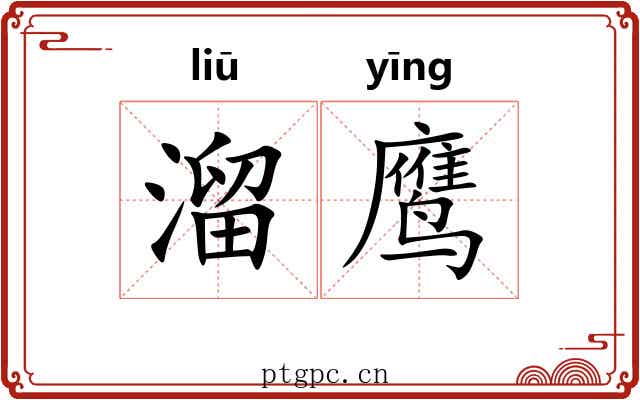溜鹰 溜鹰