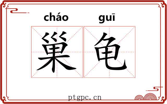 巢龟