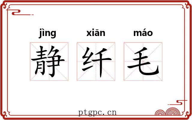 静纤毛 静纤毛