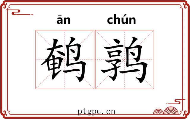 鹌鹑 鹌鹑