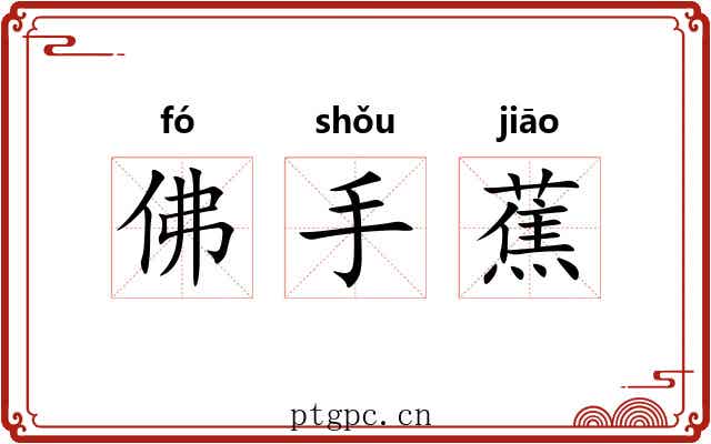 佛手蕉