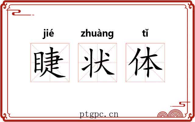 睫状体