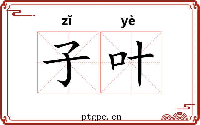 子叶