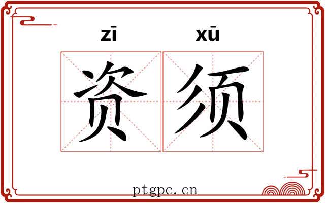 资须