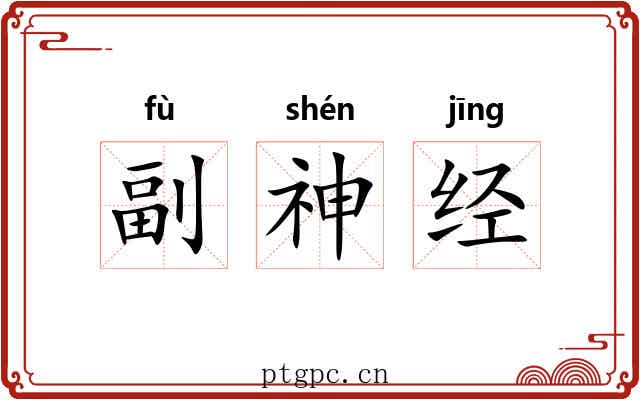 副神经