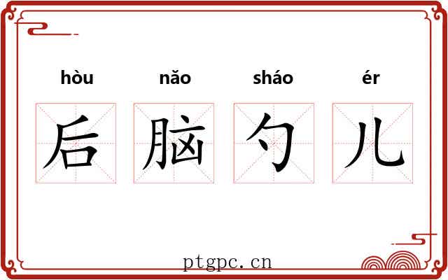 后脑勺儿