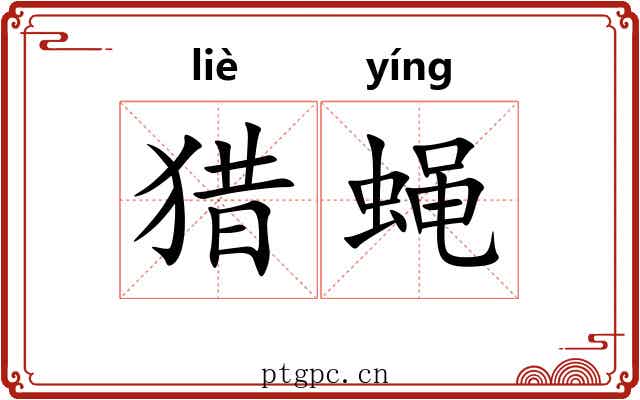 猎蝇
