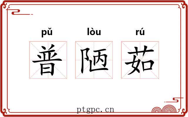 普陋茹