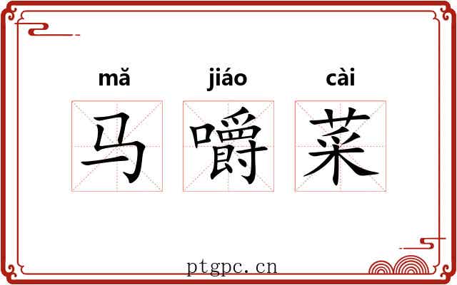 马嚼菜 马嚼菜