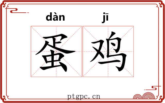蛋鸡