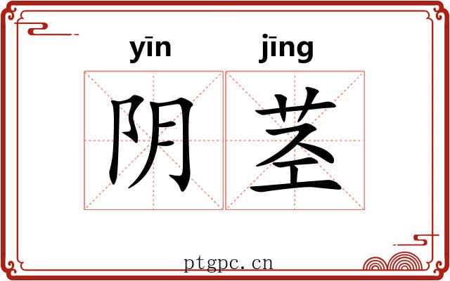阴茎