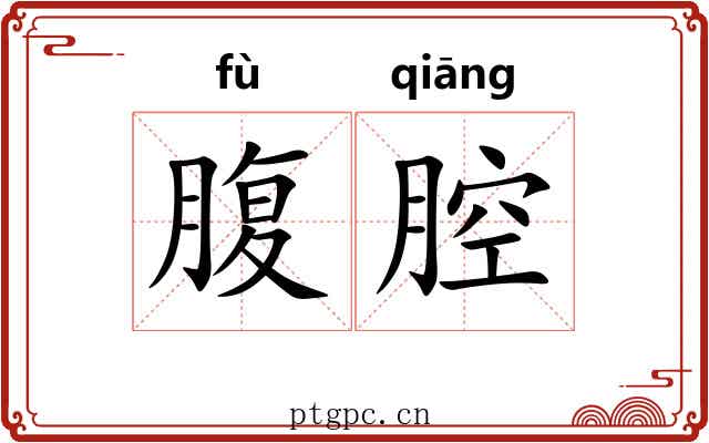 腹腔