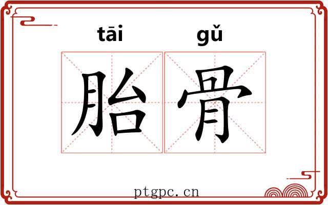 胎骨 胎骨