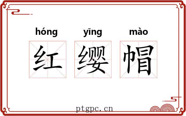 红缨帽 红缨帽