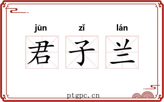 君子兰