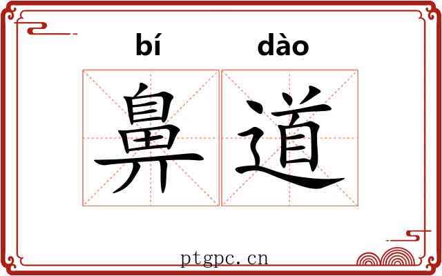 鼻道 鼻道