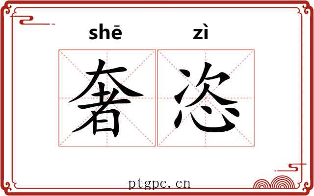 奢恣
