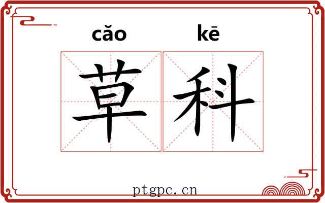 草科