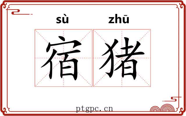 宿猪