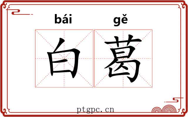 白葛 白葛