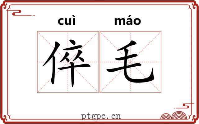 倅毛