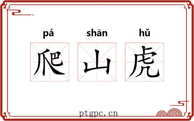 爬山虎 爬山虎