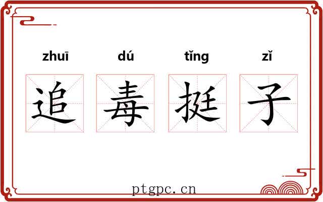 追毒挺子
