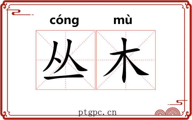 丛木