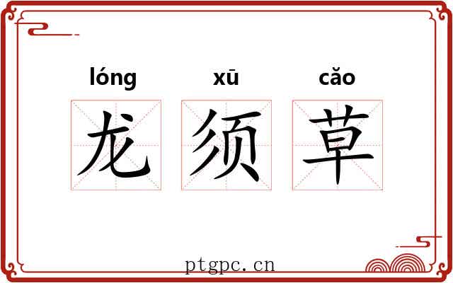 龙须草 龙须草