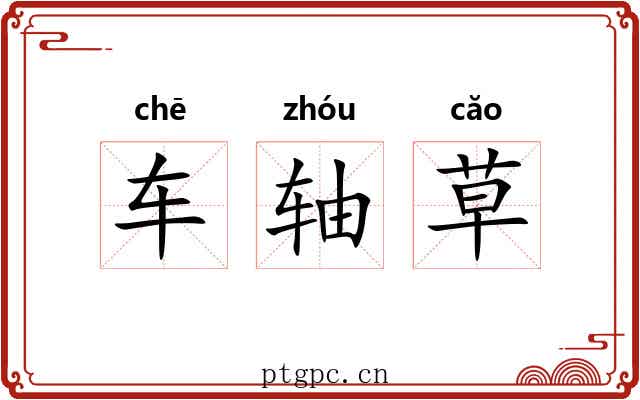 车轴草 车轴草