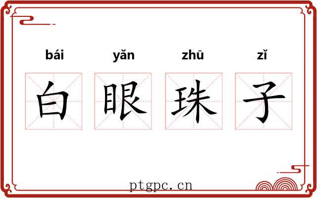 白眼珠子 白眼珠子