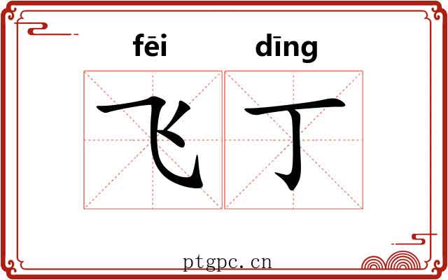 飞丁