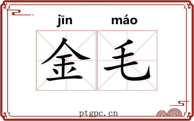 金毛 金毛