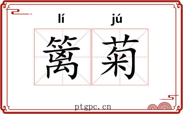 篱菊