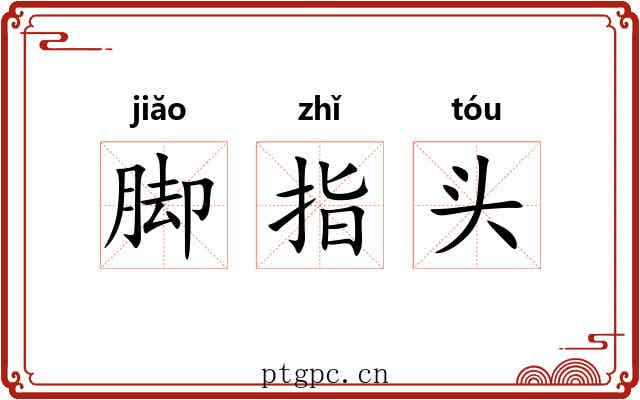 脚指头 脚指头