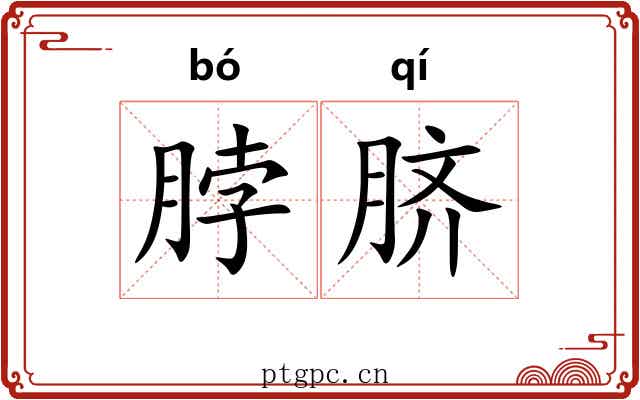 脖脐