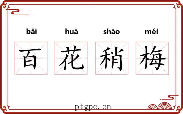 百花稍梅