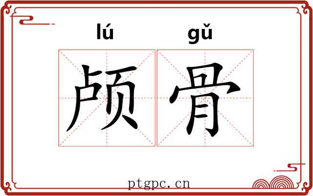 颅骨