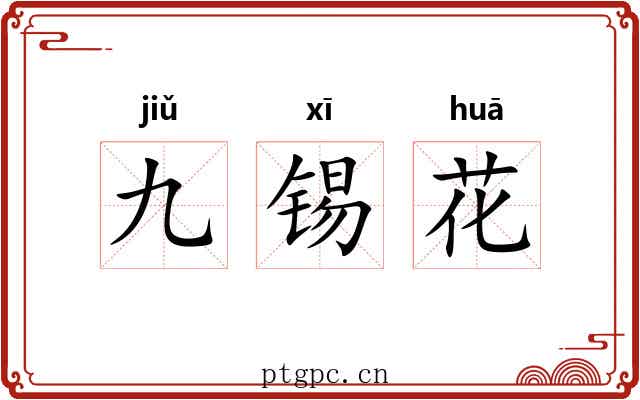 九锡花